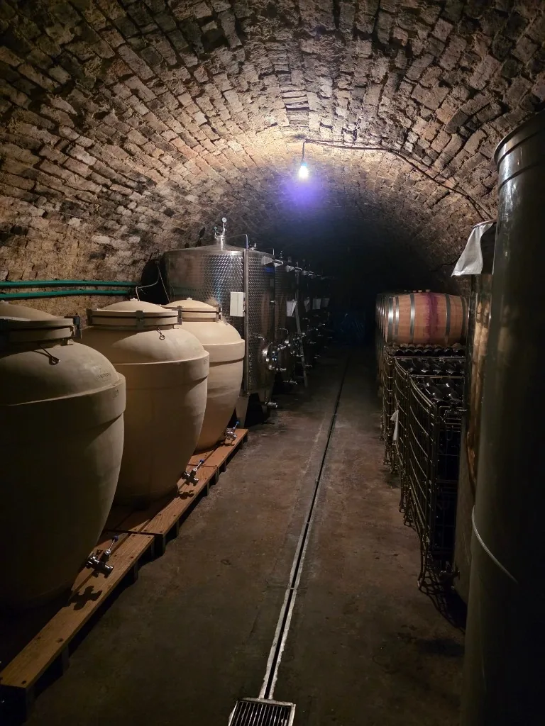 Vinarija Apatović – podrum