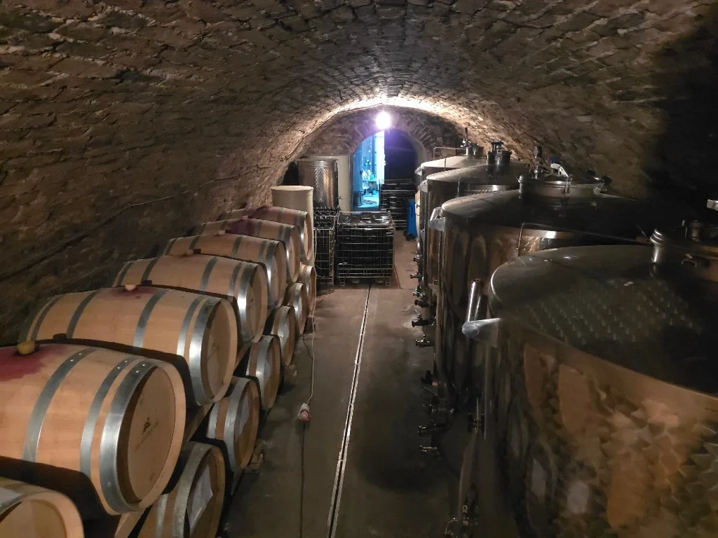 Vinarija Apatović – podrum