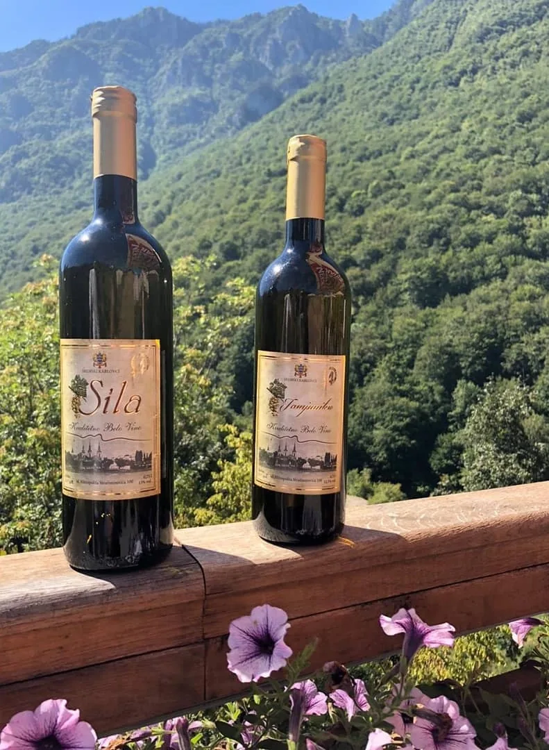 Vinarija Apatović – bela vina