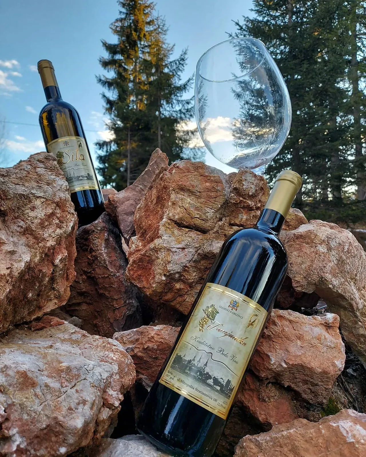 Vinarija Apatović – sila i tamjanika